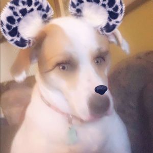 Meet your Posher, Jean